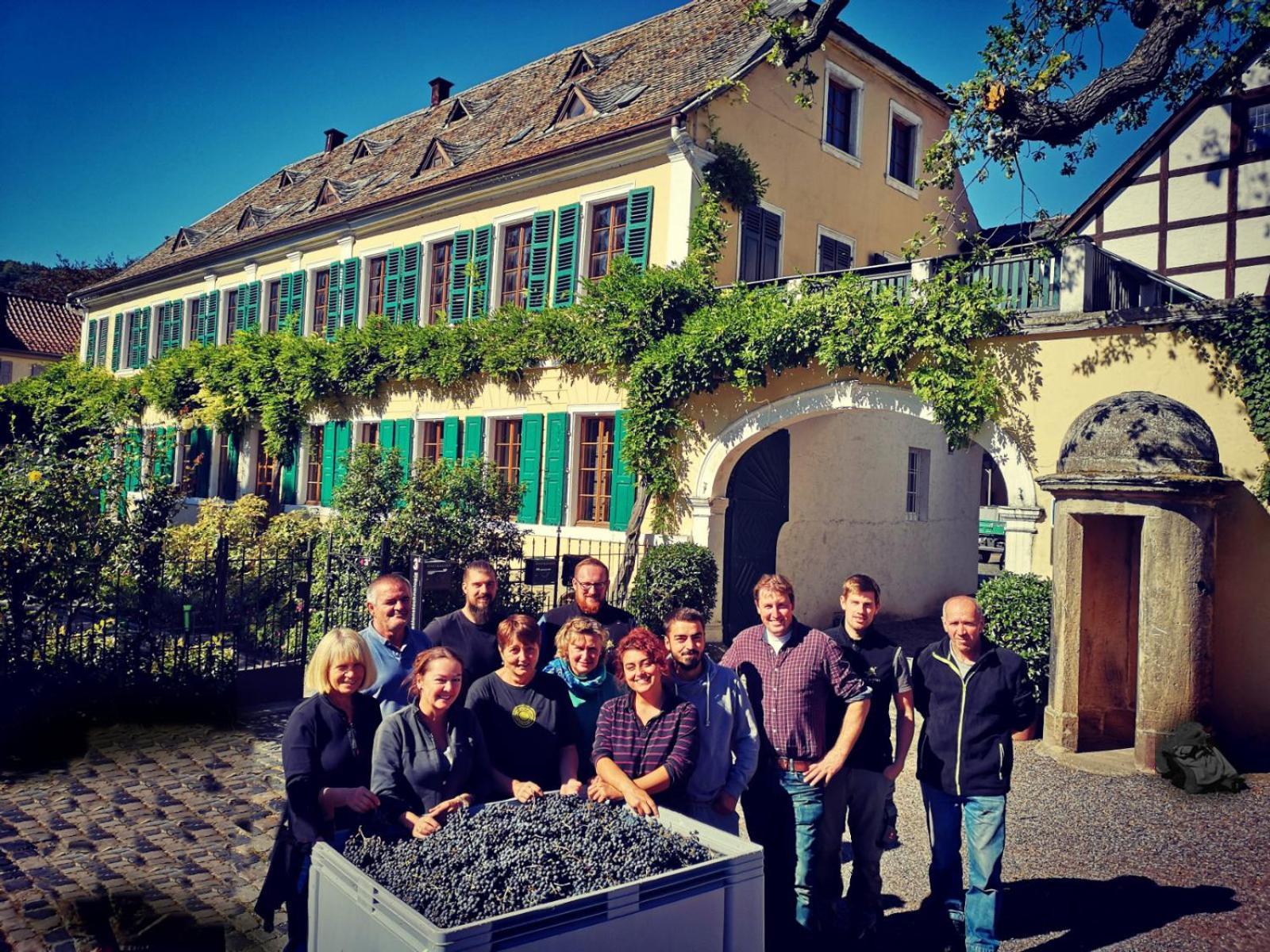Unterkunft Im Weingut Fitz-Ritter Bad Duerkheim Exterior photo
